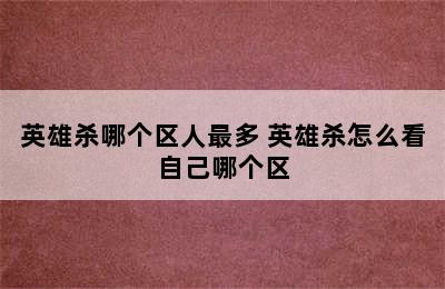 英雄杀哪个区人最多 英雄杀怎么看自己哪个区